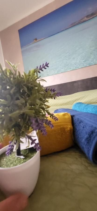Apartamento Bradisc'House Porto Torres Exterior foto