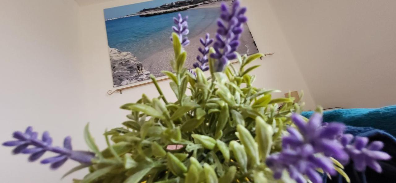 Apartamento Bradisc'House Porto Torres Exterior foto