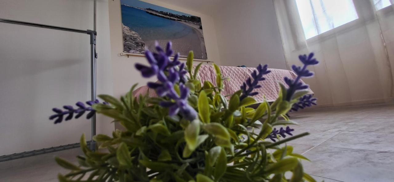 Apartamento Bradisc'House Porto Torres Exterior foto